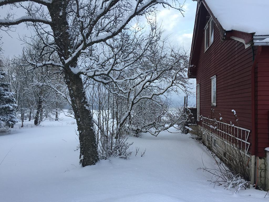 Gasthaus Bo Huset Sortland Exterior foto