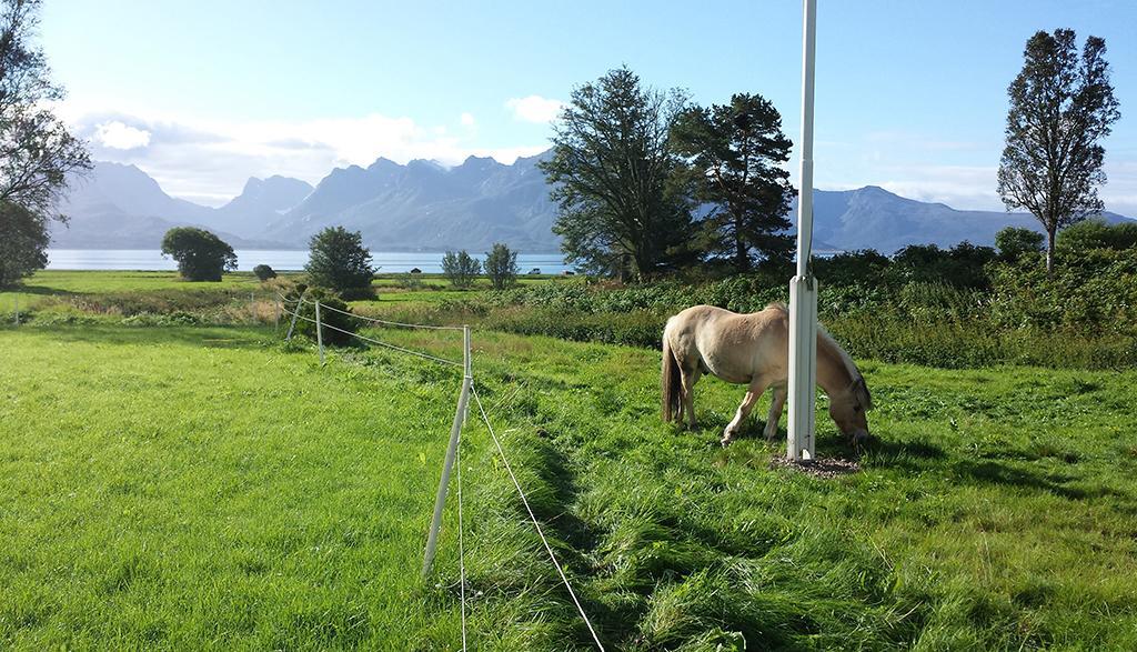 Gasthaus Bo Huset Sortland Exterior foto